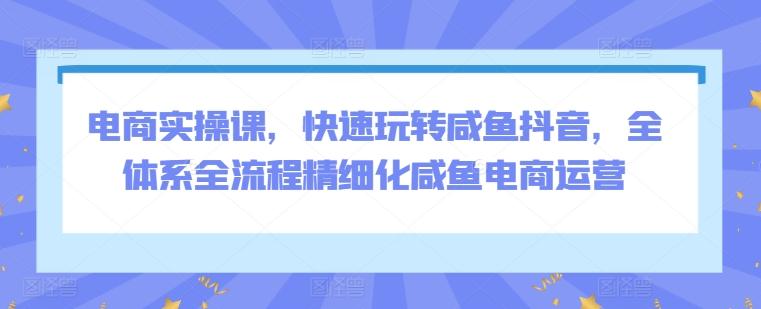 电商实操课，快速玩转咸鱼抖音，全体系全流程精细化咸鱼电商运营-天韵资源网