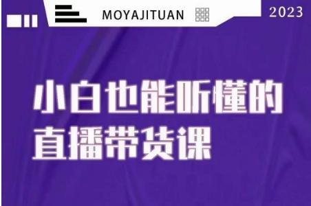 大威本威·能听懂的直播带货课，小白也能听懂，20节完整-天韵资源网