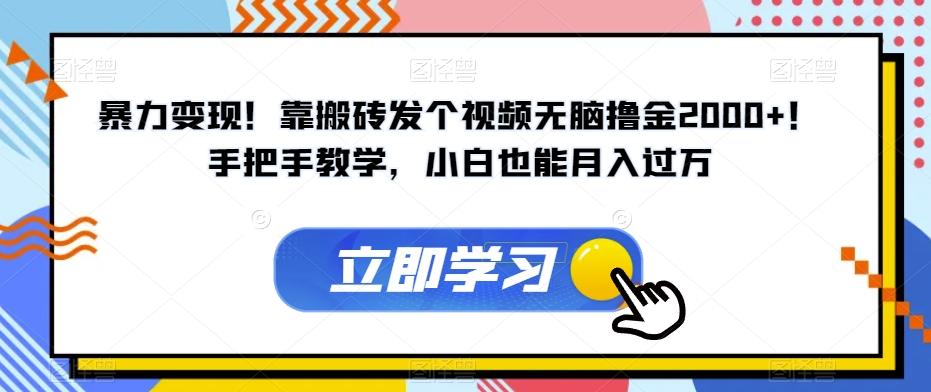 暴力变现！靠搬砖发个视频无脑撸金2000+！手把手教学，小白也能月入过万【揭秘】-天韵资源网