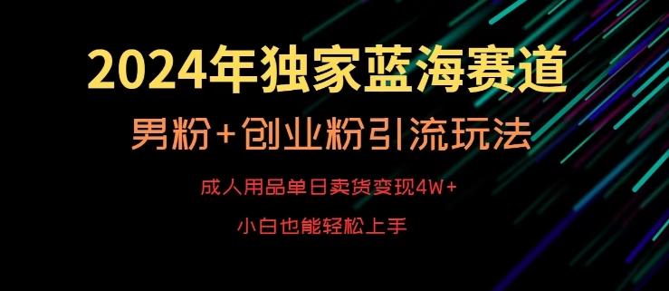 2024年独家蓝海赛道，成人用品单日卖货变现4W+，男粉+创业粉引流玩法，不愁搞不到流量【揭秘】-天韵资源网