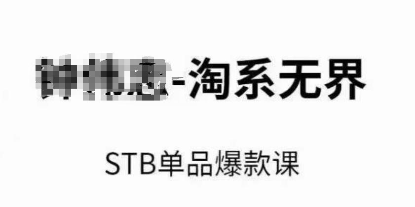 淘系无界STB单品爆款课(2024)，付费带动免费的核心逻辑，万相台无界关键词推广/精准人群的核心-天韵资源网