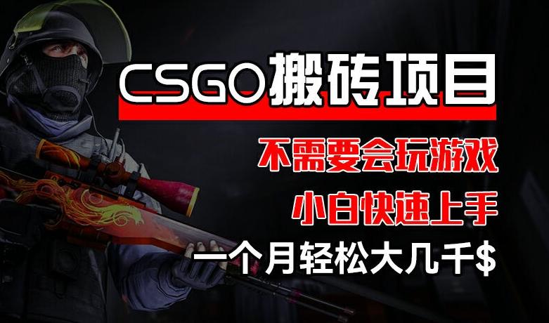 CSGO 装备搬砖项目，操作简单，不需要会玩游戏，小白也能快速上手，一个月轻松大几千【揭秘】-天韵资源网