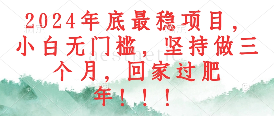 2024年底最稳项目，小白无门槛，坚持做三个月，回家过肥年！！！-天韵资源网