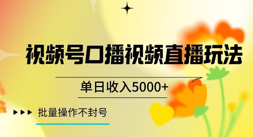 视频号囗播视频直播玩法，单日收入5000+，批量操作不封号【揭秘】-天韵资源网