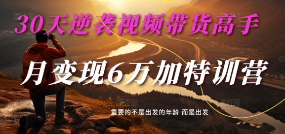 30天逆袭视频带货高手，单月变现6万加特训营-麦子甜-天韵资源网
