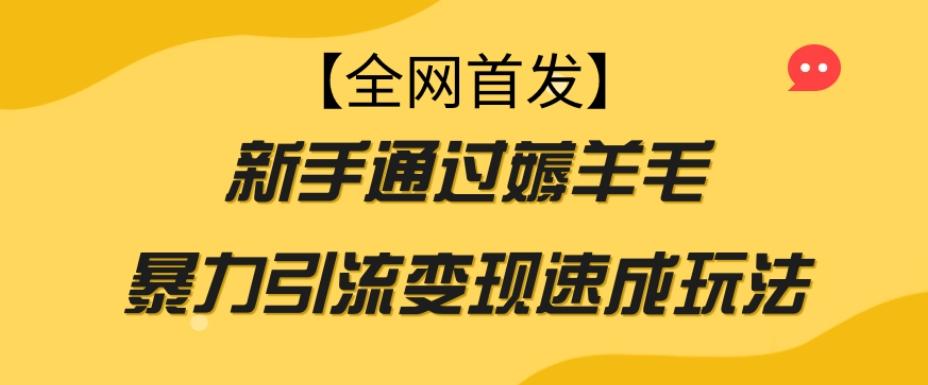 【全网首发】新手通过薅羊毛暴力引流变现速成玩法-天韵资源网