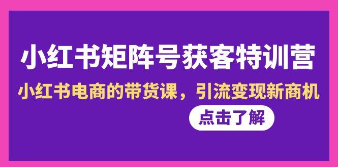 小红书-矩阵号获客特训营-第10期，小红书电商的带货课，引流变现新商机-天韵资源网