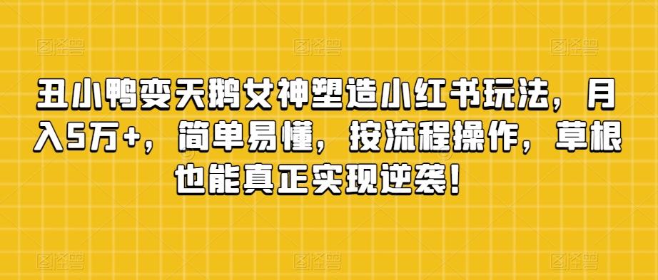 丑小鸭变天鹅女神塑造小红书玩法，月入5万+，简单易懂，按流程操作，草根也能真正实现逆袭！-天韵资源网