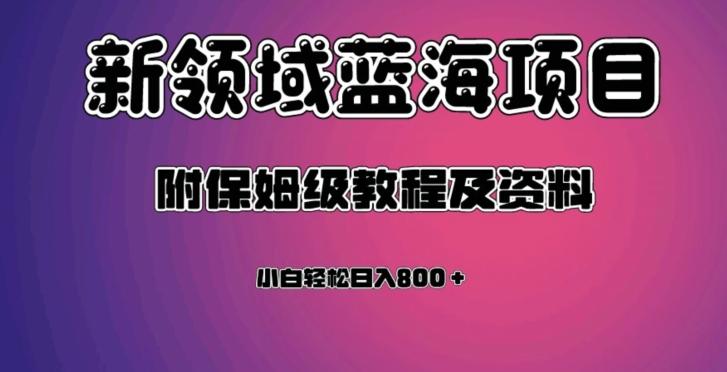 虚拟资源蓝海领域新项目，轻松日入800＋，附保姆级教程及资料-天韵资源网