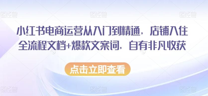 小红书电商运营从入门到精通，店铺入住全流程文档+爆款文案词，自有非凡收获-天韵资源网