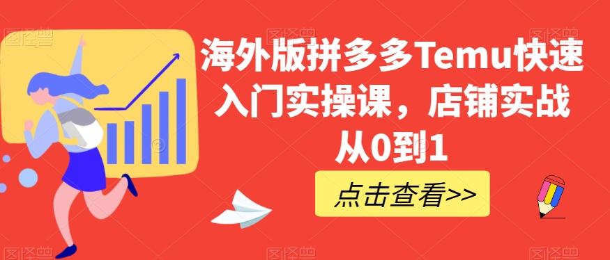 海外版拼多多Temu快速入门实操课，店铺实战从0到1-天韵资源网