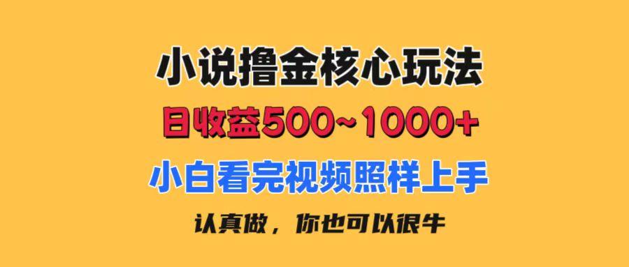 小说撸金核心玩法，日收益500-1000+，小白看完照样上手，0成本有手就行-天韵资源网