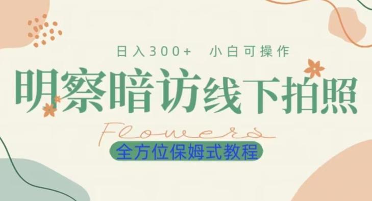 明拍暗拍项目0成本投入日入300+小白可操作保姆式全方位教程-天韵资源网