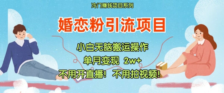 小红书婚恋粉引流，不用开直播，不用拍视频，不用做交付【揭秘】-天韵资源网