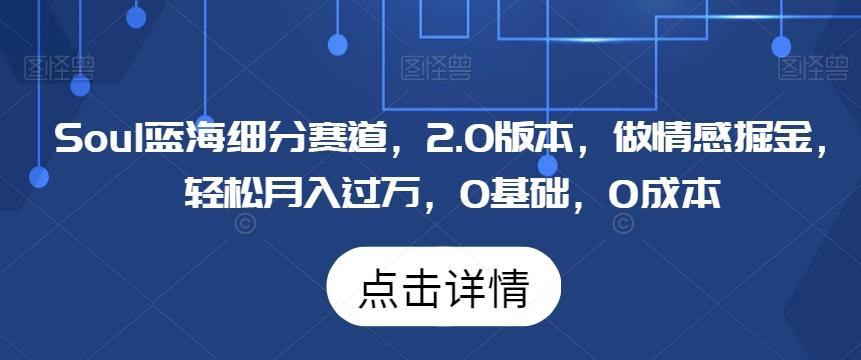 Soul蓝海细分赛道，2.0版本，做情感掘金，轻松月入过万，0基础，0成本-天韵资源网