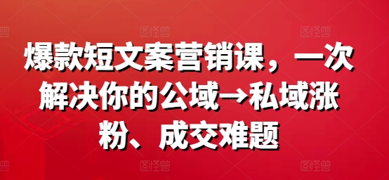 爆款短文案营销课，一次解决你的公域→私域涨粉、成交难题-天韵资源网