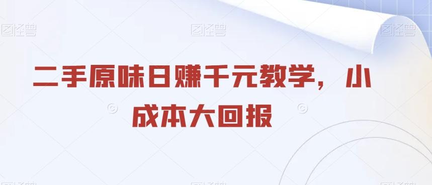 二手原味日赚千元教学，小成本大回报-天韵资源网