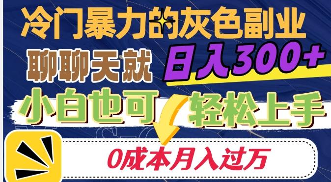 冷门暴利的副业项目，聊聊天就能日入300+，0成本月入过万【揭秘】-天韵资源网