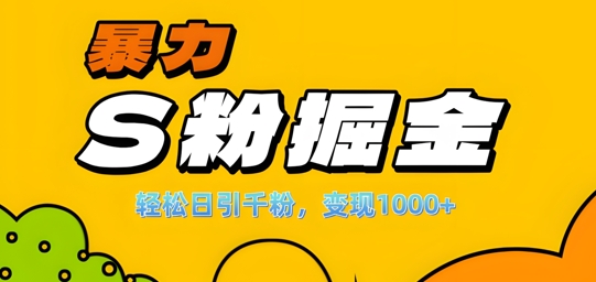 单人单机日引千粉，变现1k+，S粉流量掘金计划攻略【揭秘】-天韵资源网