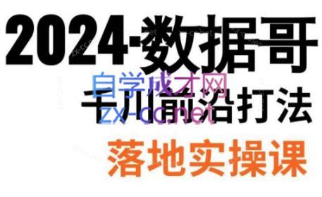 数据哥·2024年千川前沿打法落地实操课-天韵资源网