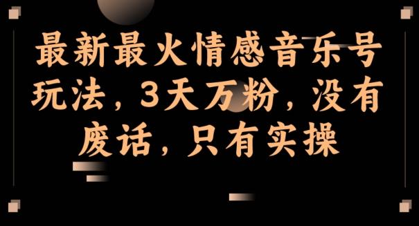 最新最火情感音乐号玩法，3天万粉，没有废话，只有实操-天韵资源网