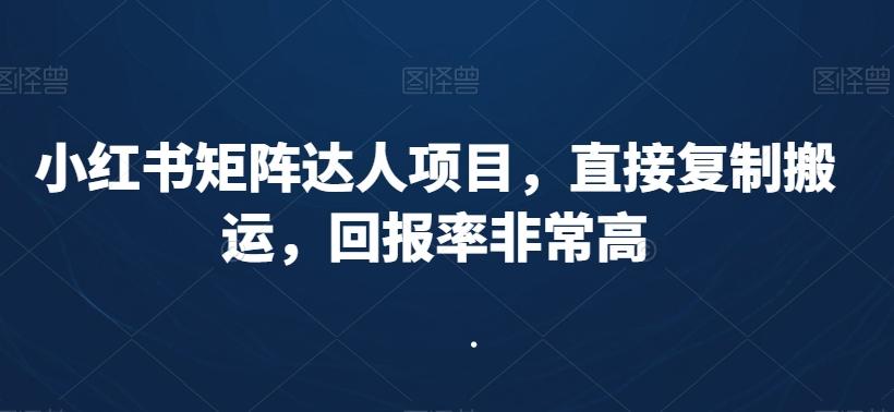 小红书矩阵达人项目，直接复制搬运，回报率非常高-天韵资源网