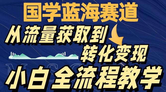 国学蓝海赛道，从流量获取，到转化变现，全流程教学-天韵资源网