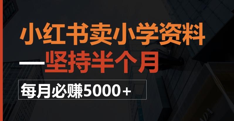 小红书卖小学资料，一坚持半个月，每月必赚5000+-天韵资源网