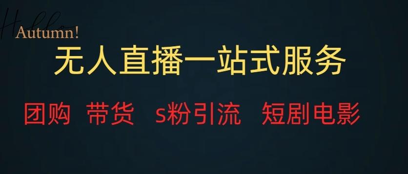 无人直播一站式服务（教程以及变现方式）-天韵资源网