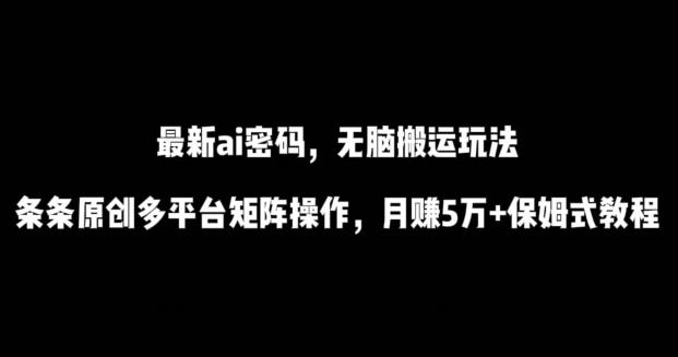 最新ai流量密码，傻瓜式搬运玩法，条条原创，多平台矩阵操作，月赚5万+保姆式教程【揭秘】-天韵资源网