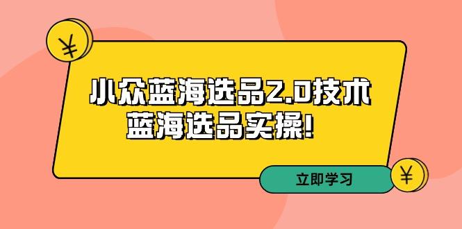 拼多多培训第33期：小众蓝海选品2.0技术-蓝海选品实操！-天韵资源网