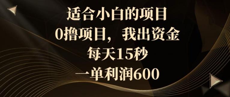 适合小白的项目，0撸项目，我出资金，每天15秒，一单利润600-天韵资源网