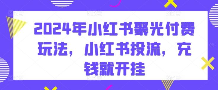 2024年小红书聚光付费玩法，小红书投流，充钱就开挂-天韵资源网
