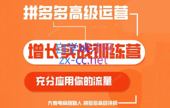 大麦老师·拼多多单品爆款打造课程(更新6月)-天韵资源网