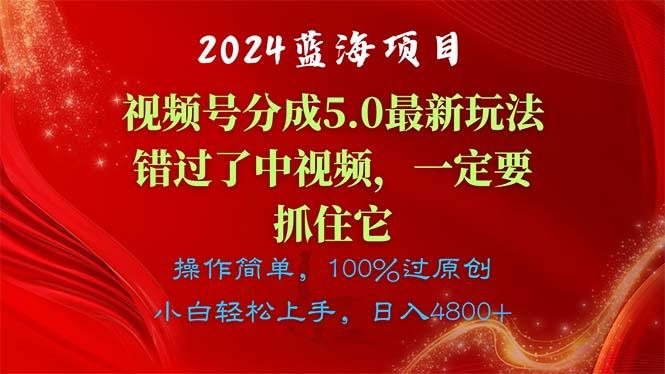 2024蓝海项目，视频号分成计划5.0最新玩法，错过了中视频，一定要抓住…-天韵资源网