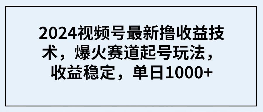 (9651期) 2024视频号最新撸收益技术，爆火赛道起号玩法，收益稳定，单日1000+-天韵资源网