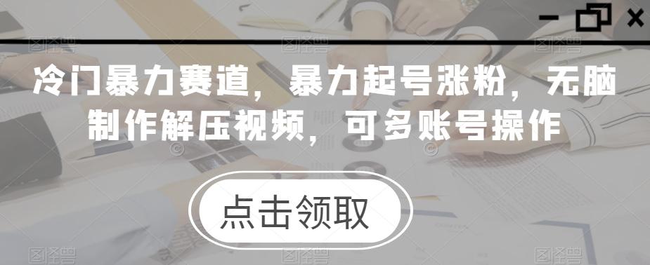 冷门暴力赛道，暴力起号涨粉，无脑制作解压视频，可多账号操作-天韵资源网