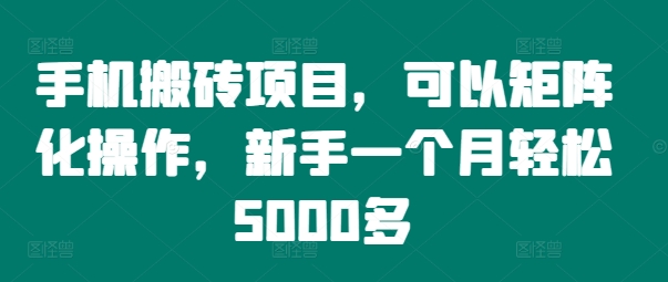 手机搬砖项目，可以矩阵化操作，新手一个月轻松5000多-天韵资源网