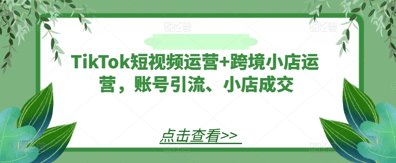 TikTok短视频运营+跨境小店运营，账号引流、小店成交-天韵资源网