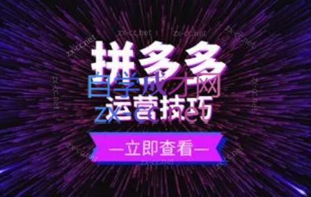 力辛电商·拼多多强付费店群玩法-天韵资源网