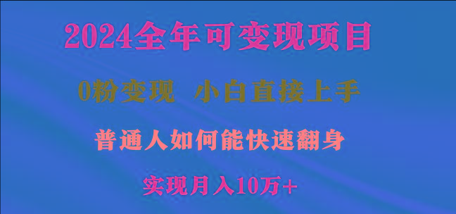 2024全年可变现项目，一天收益至少2000+，小白上手快，普通人就要利用互…-天韵资源网