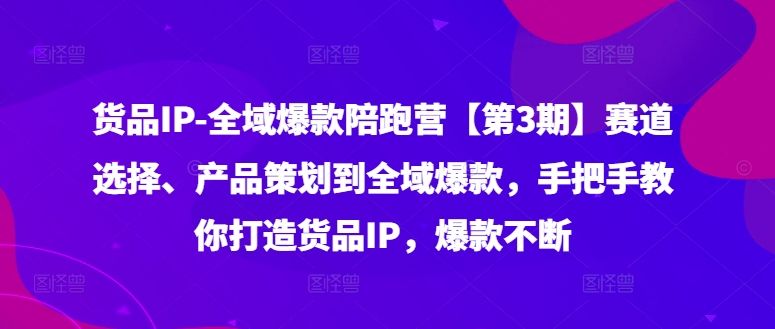 货品IP全域爆款陪跑营【第3期】赛道选择、产品策划到全域爆款，手把手教你打造货品IP，爆款不断-天韵资源网