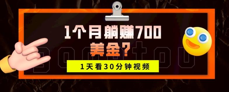 1天看30分钟视频，1个月躺赚700美金？-天韵资源网