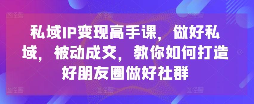 私域IP变现高手课，做好私域，被动成交，教你如何打造好朋友圈做好社群-天韵资源网