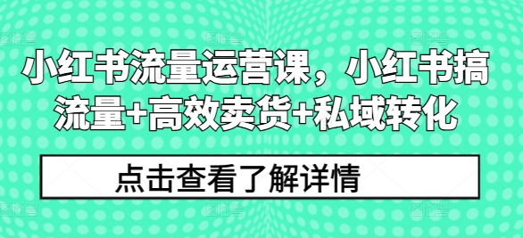 小红书流量运营课，小红书搞流量+高效卖货+私域转化-天韵资源网