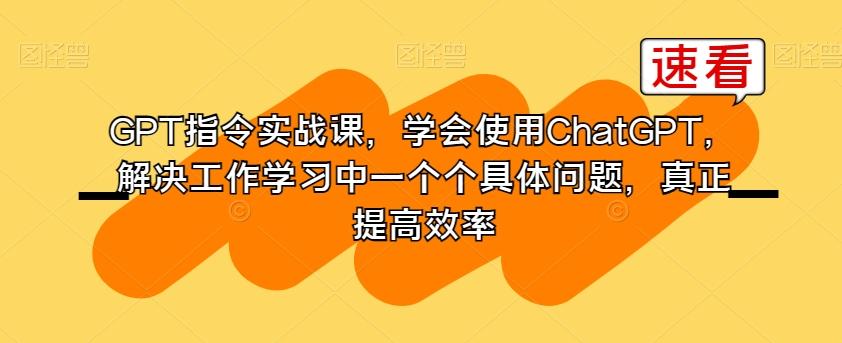 GPT指令实战课，学会使用ChatGPT，解决工作学习中一个个具体问题，真正提高效率-天韵资源网