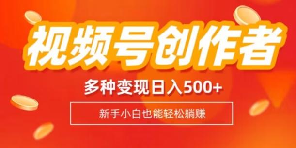 视频号创作者计划，多种变现方式，日入500+【内附1080g视频素材】-天韵资源网