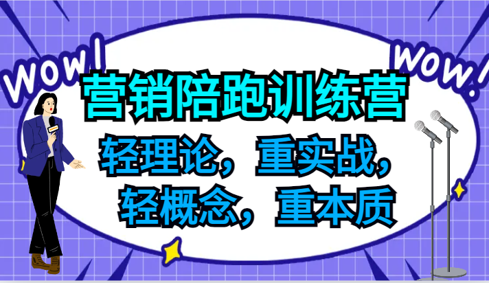 营销陪跑训练营，轻理论，重实战，轻概念，重本质，适合中小企业和初创企业的老板-天韵资源网