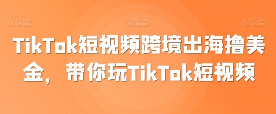 TikTok短视频跨境出海撸美金，带你玩TikTok短视频-天韵资源网