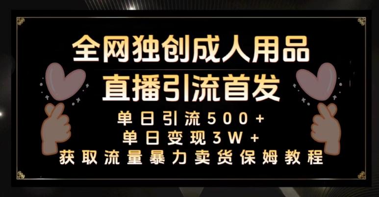 全网独创真人主播+无人直播单日引流500+，橙人用品暴力卖货单日变现3W+保姆似教学2.0【揭秘】-天韵资源网
